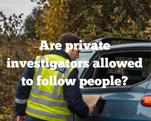 Ali Private Investigator Tampa