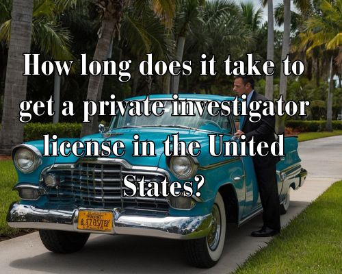 a professional applying as private investigator