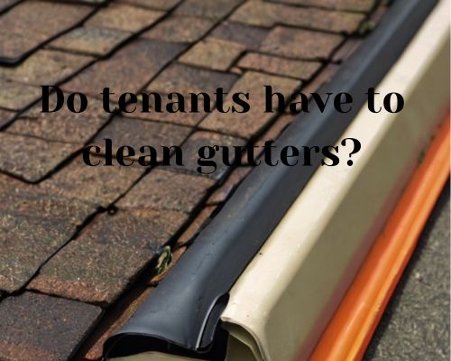cleaned roof gutter by landlord