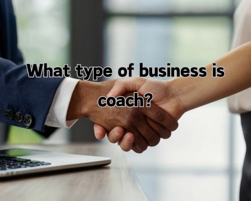 a coach and a professional handshaking after an agreement