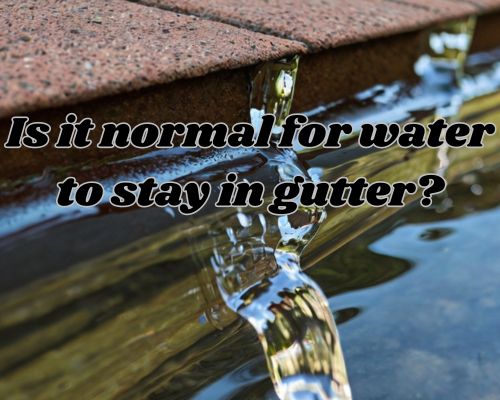 Rainwater collects in a clogged gutter, causing it to overflow and spill onto the ground below