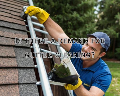 a happy and in demand gutter cleaner