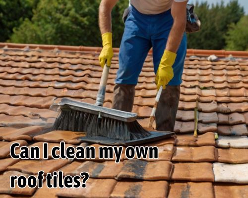 a homeowner cleaning his tile roofing