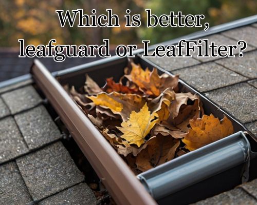 a leaffilter with falling leaves