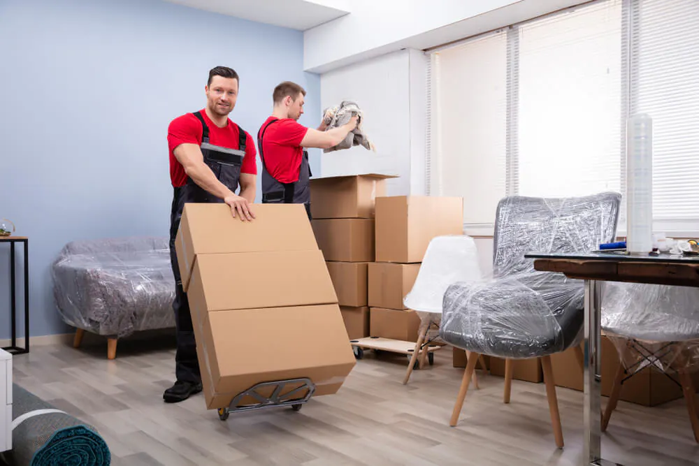 Trusted Moving Company Professionals Vista, CA