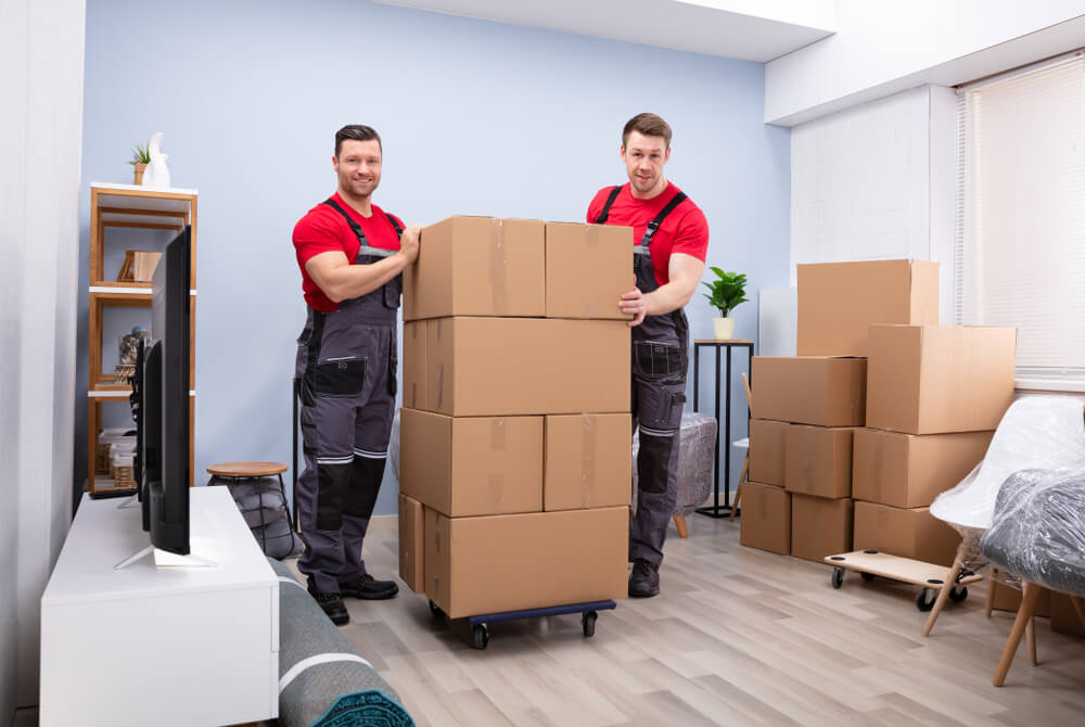 Relocation Tips And Advice Escondido